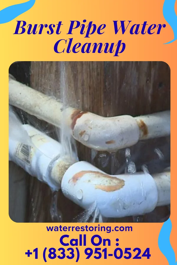 Burst Pipe Water Cleanup in Phillips, NE