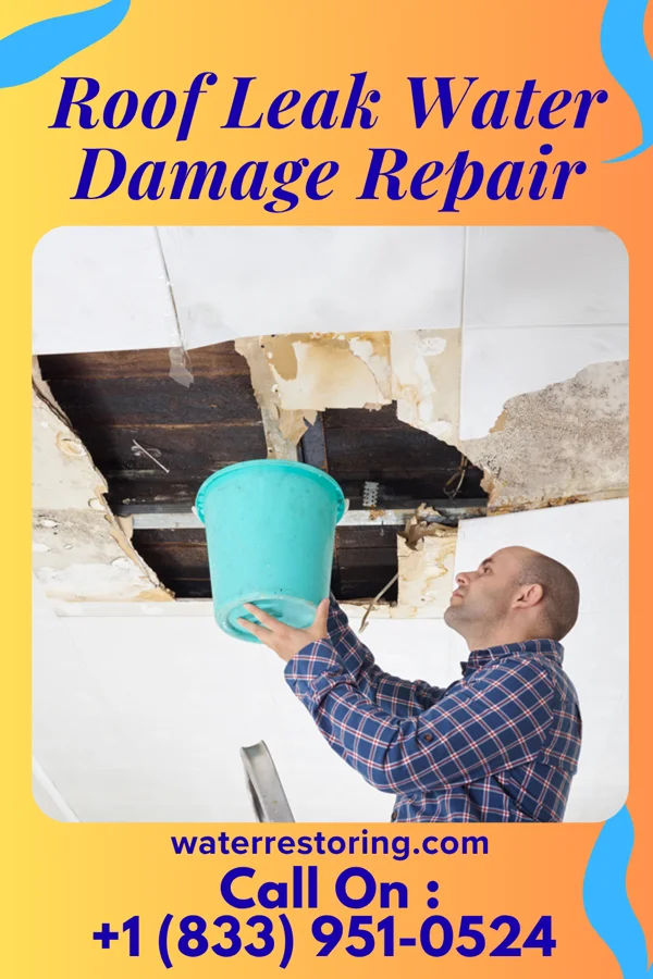 Roof Leak Water Damage Repair in Phillips, NE