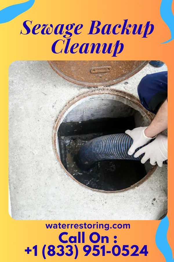 Sewage Backup Cleanup in Phillips, NE