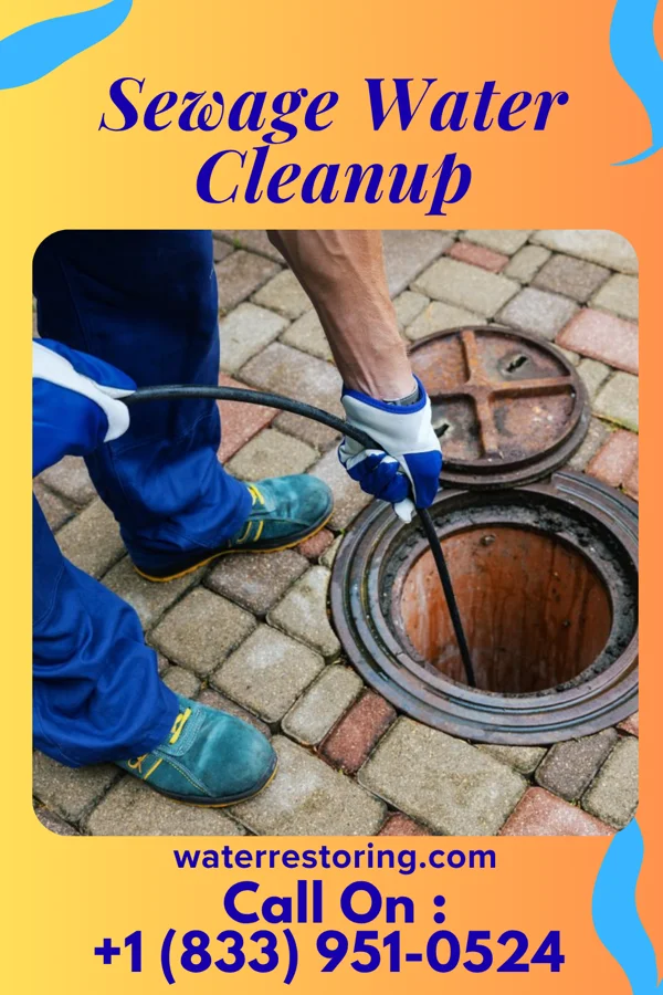 Sewage Water Cleanup in Phillips, NE